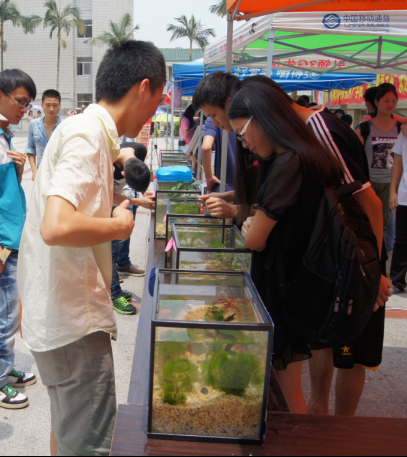 水族箱设计比赛