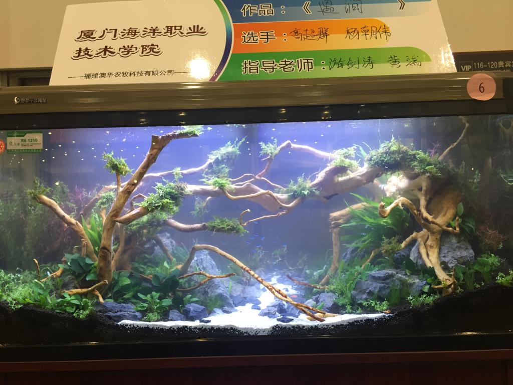厦门海洋职业技术学院作品《遇涧》