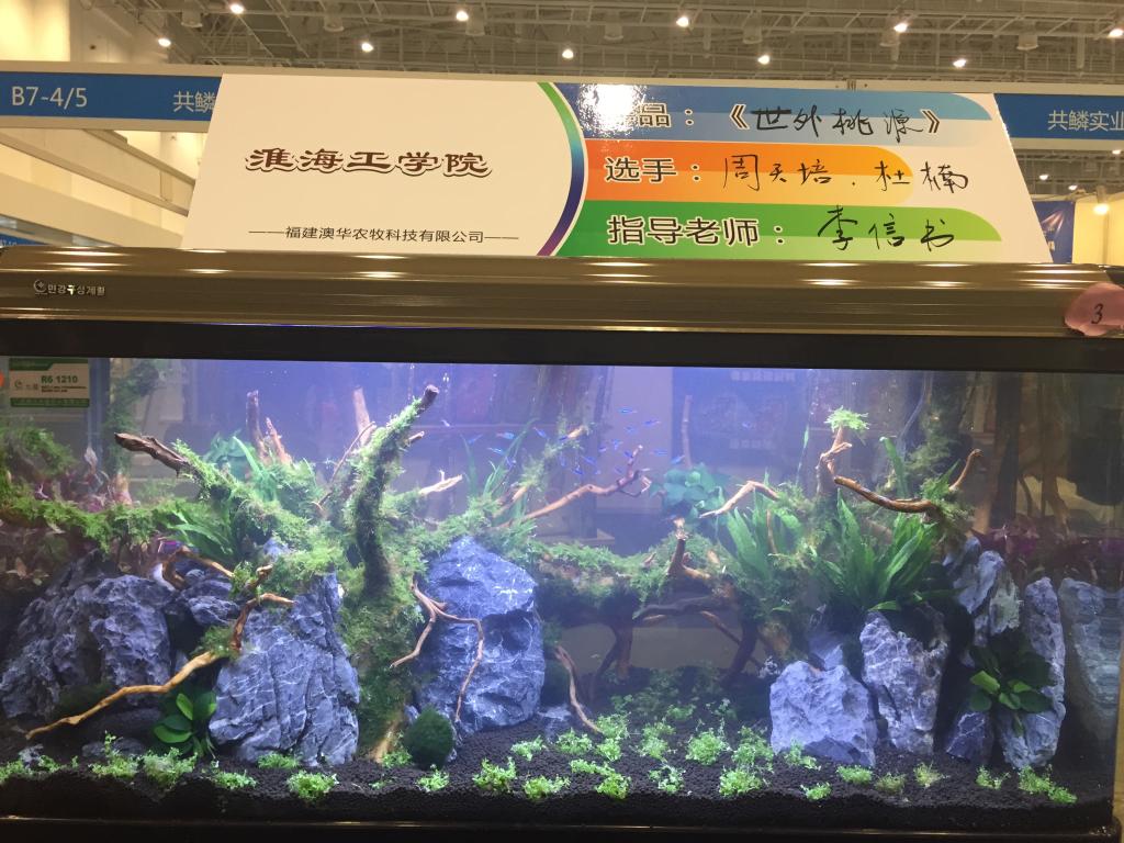 淮海工学院作品《世外桃源》