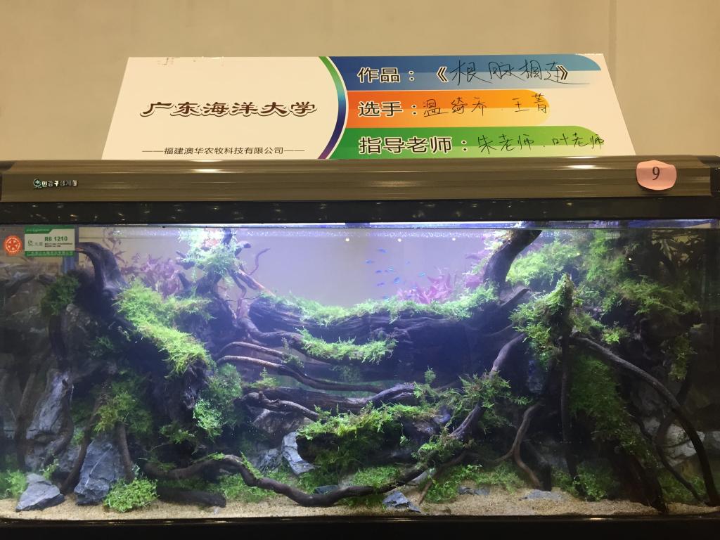 广东海洋大学作品《根脉相连》