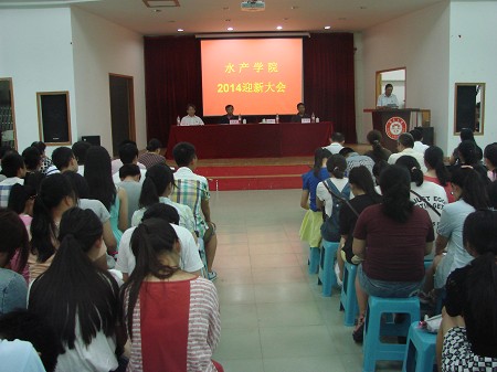 大会现场