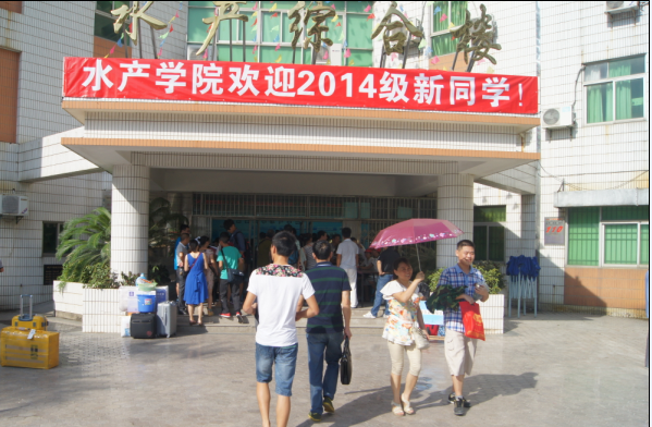 喜庆的迎新氛围