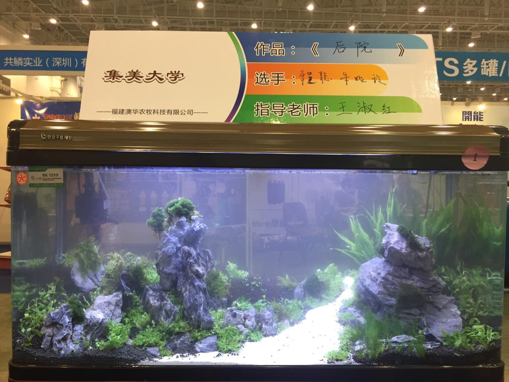 集美大学作品《后院》