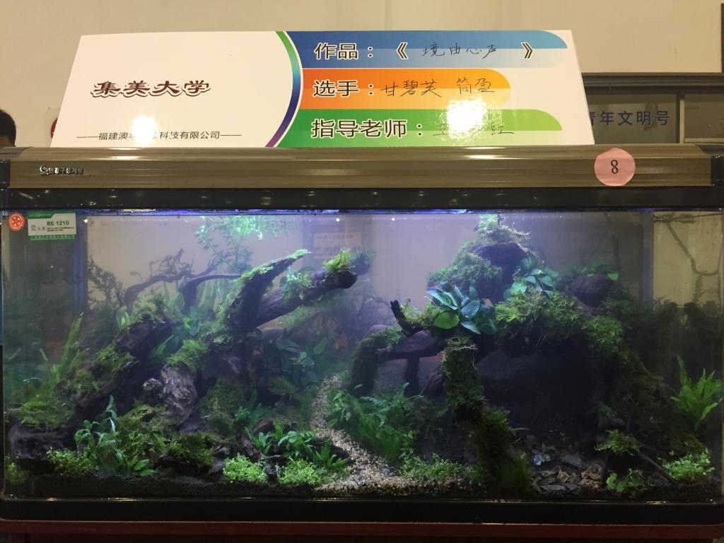 集美大学作品《境由心声》