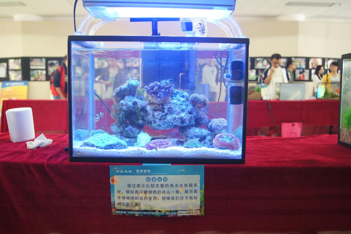 一等奖《萤粼碧海》