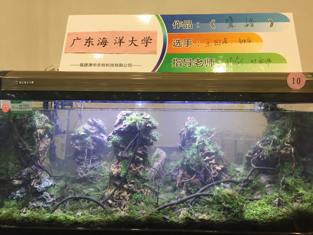 广东海洋大学作品《叠峰》