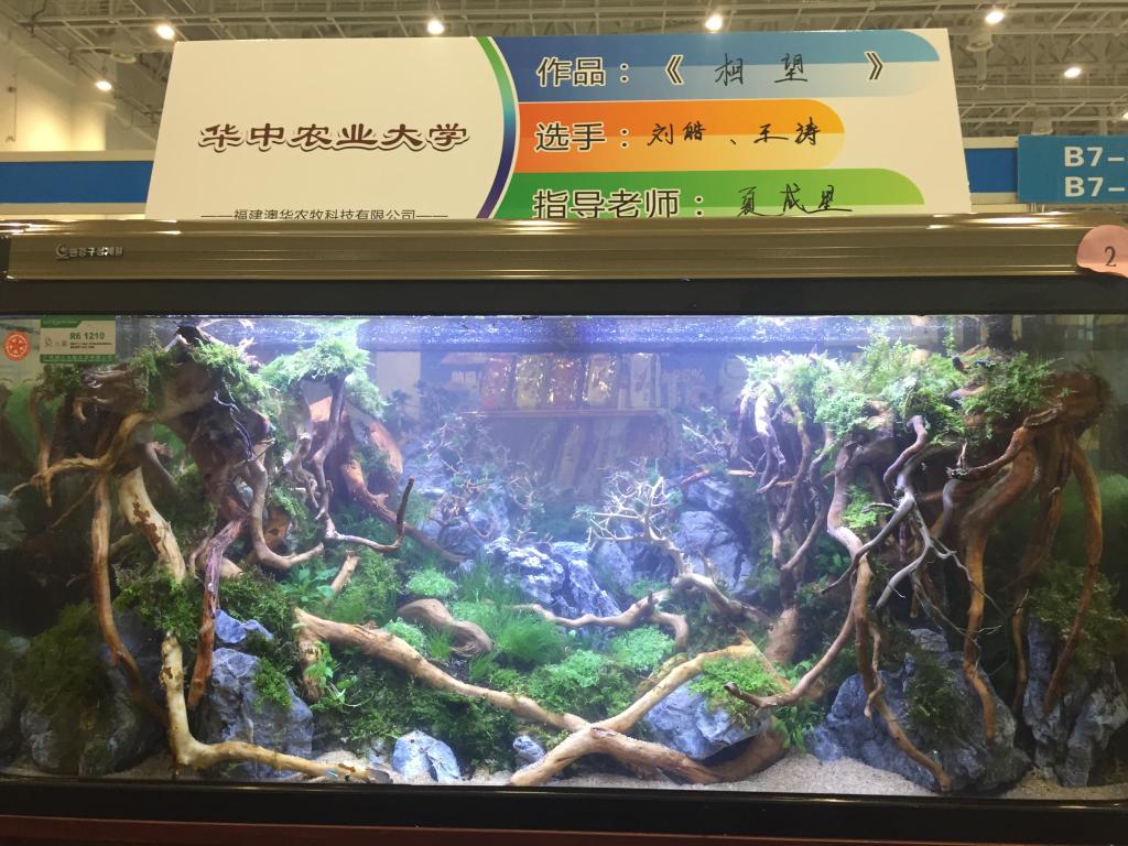 华中农业大学作品《相望》