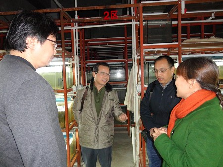 在厦门福虾农业开发有限公司调研