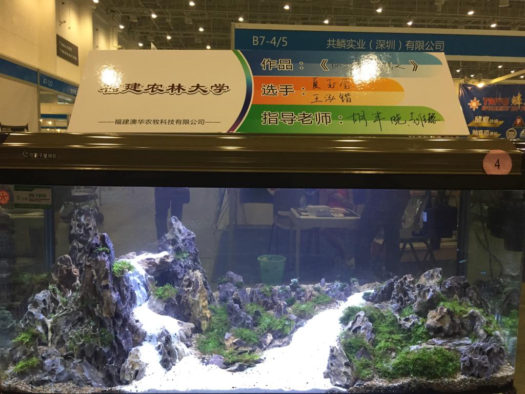 福建农林大学作品《灵水仙山别洞天》